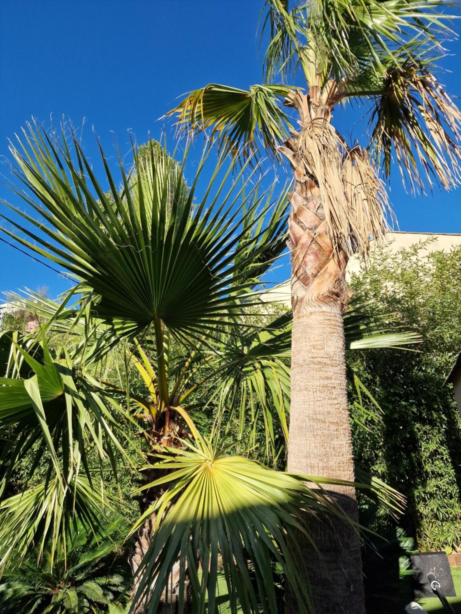 Haut De Villa A 700 Metres De La Plage, Totalement Independant Et Accessible Par Un Escalier Exterieur Sainte-Maxime Exterior foto